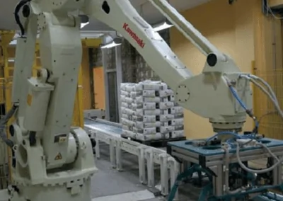 Bulk Bagging Stacking Robot